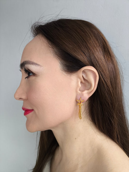 Kayan Yıldız  Küpe Takımı